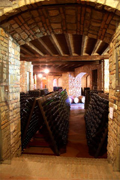 cantina